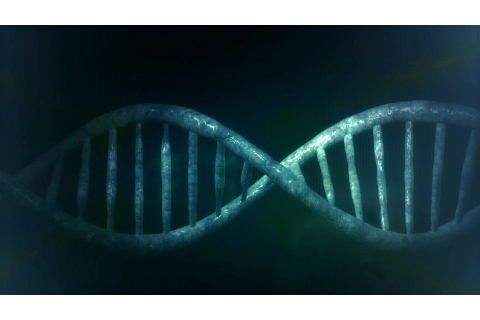想生下健康聰明的寶寶 除了認識唐氏綜合征 准媽媽還需要了解的“脆性X綜合征”