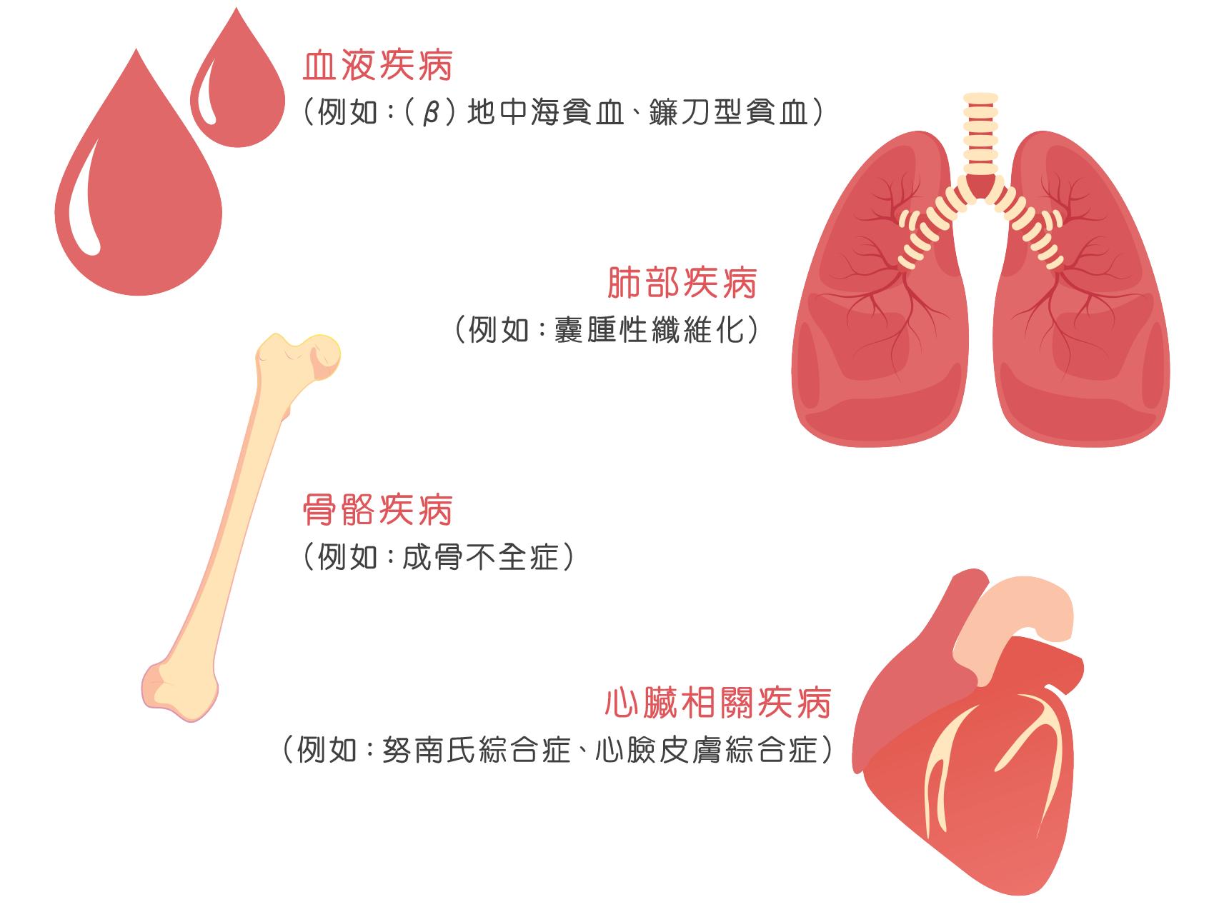61d26a3458556.png